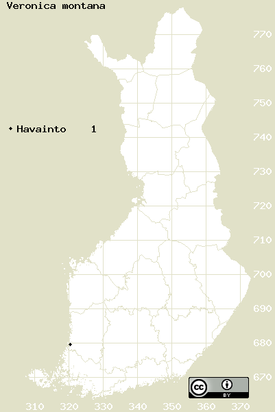 Pyökkitädyke, levinneisyys ja yleisyys - Kasviatlas 2018